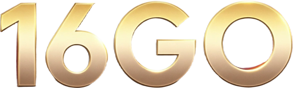 16GO logo